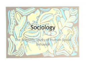 Scientific study of social behavior and human groups