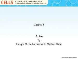 Chapter 8 Actin By Enrique M De La
