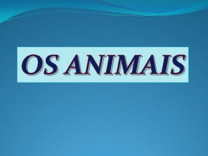 OS ANIMAIS XUSTIFICACIN Entre as mestras participantes e