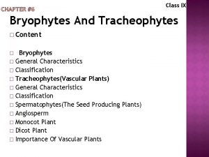 Class IX Bryophytes And Tracheophytes Content Bryophytes General