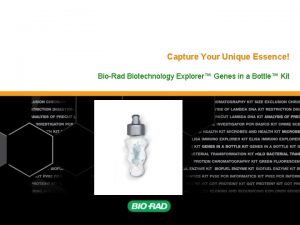 Capture Your Unique Essence BioRad Biotechnology Explorer Genes