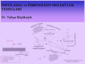 PIHTILAMA ve FBRNOLZN MOLEKLER TEMELLER Dr Yahya Bykak