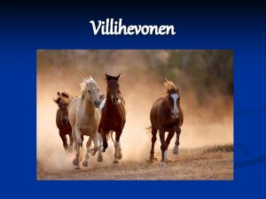 Villihevonen Luokittelu n n n n n Domeeni Villihevonen Luokittelu n n n n n Domeeni