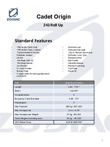 Cadet Origin 240 Roll Up Standard Features 1100
