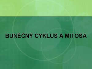 BUNN CYKLUS A MITOSA BUNN CYKLUS cyklus eukaryotick
