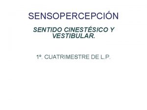 Cinestésico y vestibular