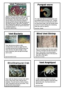 Vent Tubeworms have no mouth eyes or stomach