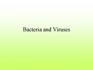 Bacteria and Viruses Bacteria Prokaryotes are the oldest