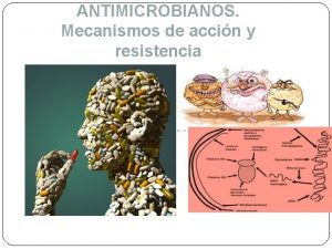 ANTIMICROBIANOS Mecanismos de accin y resistencia CELULA PROCARIOTA
