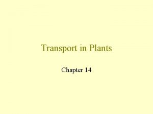 Transpiration in plants