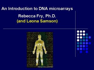 An Introduction to DNA microarrays Rebecca Fry Ph