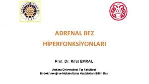 Adrenal bez embriyolojisi Adrenal bez embriyolojisi