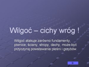 Wilgo cichy wrg Wilgo atakuje zarwno fundamenty piwnice