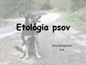 Etolgia psov Silvia Balogaov III A o je