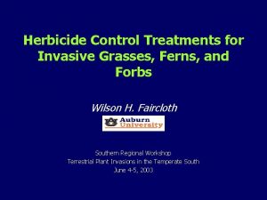 Herbicide Control Treatments for Invasive Grasses Ferns and