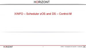 HORIZONT XINFO Scheduler z OS and DS ControlM