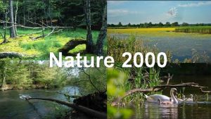 Nature 2000 Nature 2000 network program nature protection