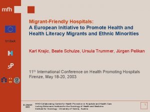 mfh MigrantFriendly Hospitals A European Initiative to Promote