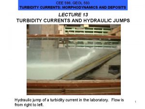 CEE 598 GEOL 593 TURBIDITY CURRENTS MORPHODYNAMICS AND