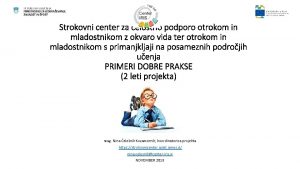 Strokovni center za celostno podporo otrokom in mladostnikom