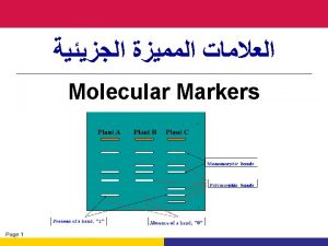 Page 9 Page 10 Gel electrophoresis is a