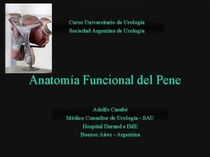 Curso Universitario de Urologa Sociedad Argentina de Urologa