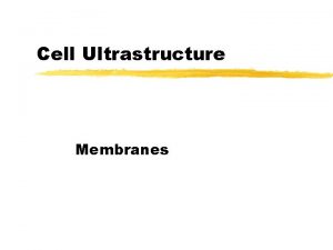 Cell Ultrastructure Membranes Plasma membrane z Outermost layer