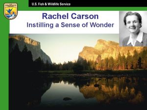 Rachel Carson Instilling a Sense of Wonder Rachel