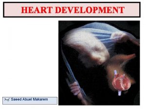 HEART DEVELOPMENT Prof Saeed Abuel Makarem Objectives By