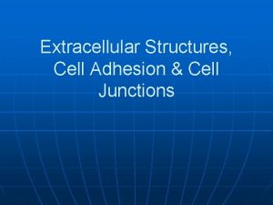 Extracellular Structures Cell Adhesion Cell Junctions Introduction n