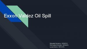 Exxon Valdez Oil Spill Eduardo Ferreira 8990712 Fernando