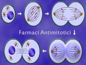 Farmaci antimitotici