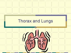 Thorax and Lungs Outline Structure and Function Subjective