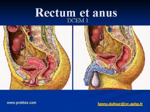 Rectum et anus DCEM 1 www proktos com