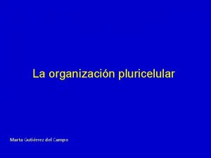 La organizacin pluricelular Marta Gutirrez del Campo NIVELES