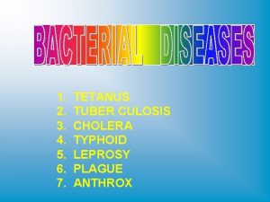 Tuberculosis bacteria image