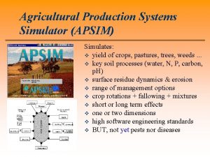 Agricultural Production Systems Simulator APSIM Simulates v yield