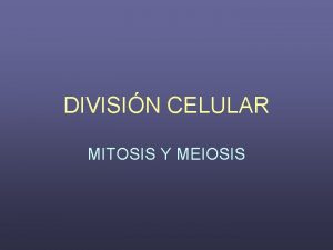 DIVISIN CELULAR MITOSIS Y MEIOSIS CICLO CELULAR PERODO