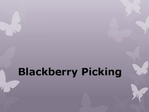 Blackberry picking summary