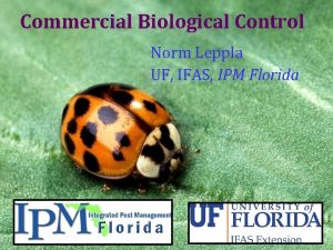 Commercial Biological Control Norm Leppla UF IFAS IPM