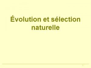 volution et slection naturelle 1 Vous avez srement