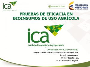 PRUEBAS DE EFICACIA EN BIOINSUMOS DE USO AGRCOLA