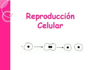 Celular qu