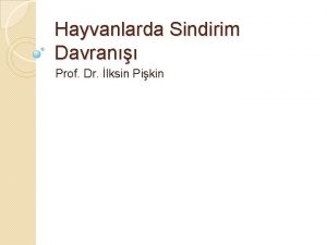 Hayvanlarda Sindirim Davran Prof Dr lksin Pikin Yiyecek