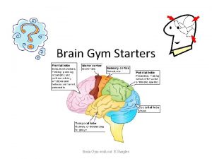 Brain Gym Starters Brain Gym work out E