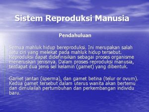 Sistem Reproduksi Manusia Pendahuluan Semua mahluk hidup bereproduksi