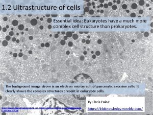 1 2 Ultrastructure of cells Essential idea Eukaryotes