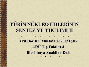 PRN NKLEOTDLERNN SENTEZ VE YIKILIMI II Yrd Do