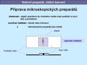 Nativn prepart vitln barven Pprava mikroskopickch prepart zhotoven