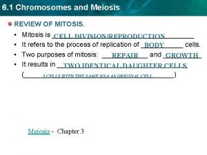 6 1 Chromosomes and Meiosis REVIEW OF MITOSIS